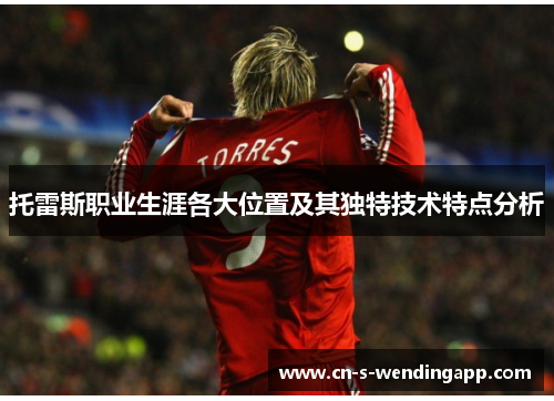 托雷斯职业生涯各大位置及其独特技术特点分析