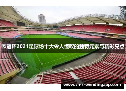 欧冠杯2021足球场十大令人惊叹的独特元素与精彩亮点
