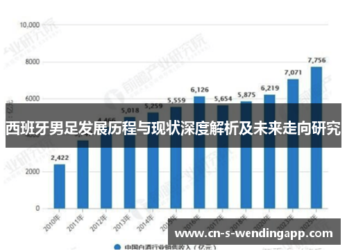 西班牙男足发展历程与现状深度解析及未来走向研究