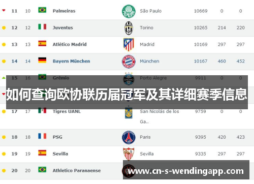 如何查询欧协联历届冠军及其详细赛季信息