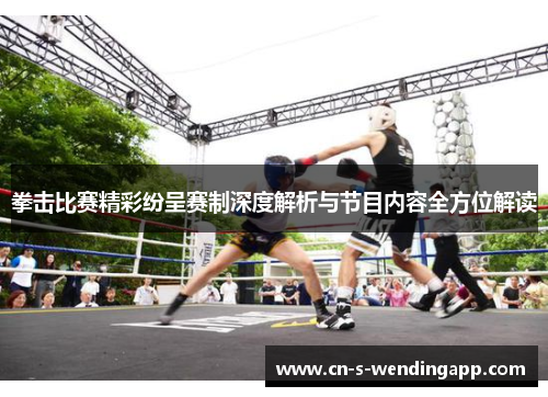 拳击比赛精彩纷呈赛制深度解析与节目内容全方位解读